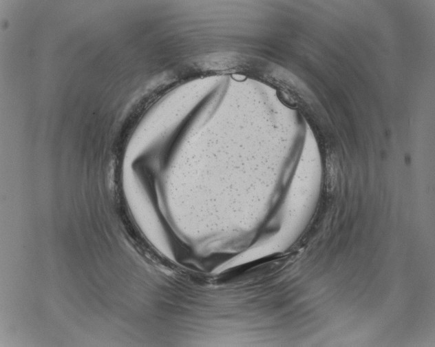 X0000067920404200605112013