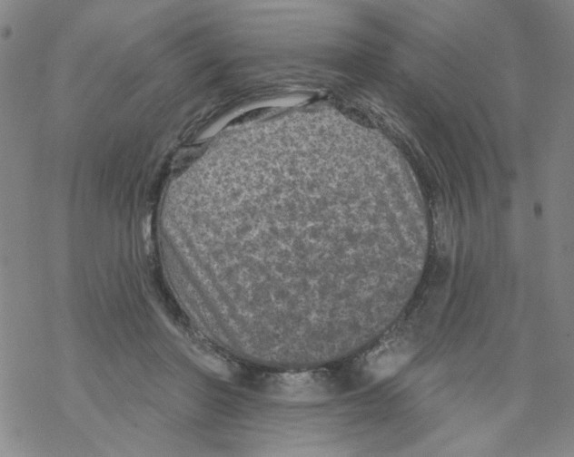 X0000067920406200605112013