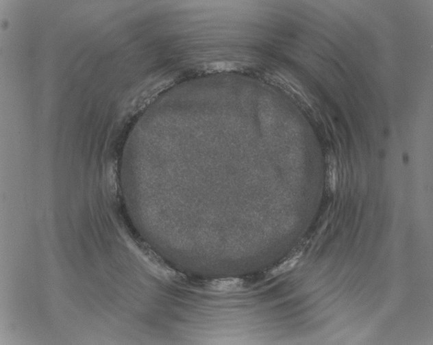 X0000067920410200605112013