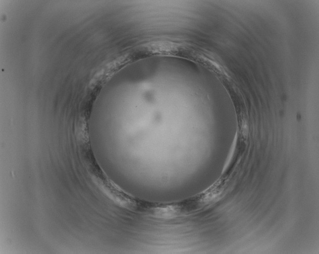 X0000067920411200605112013