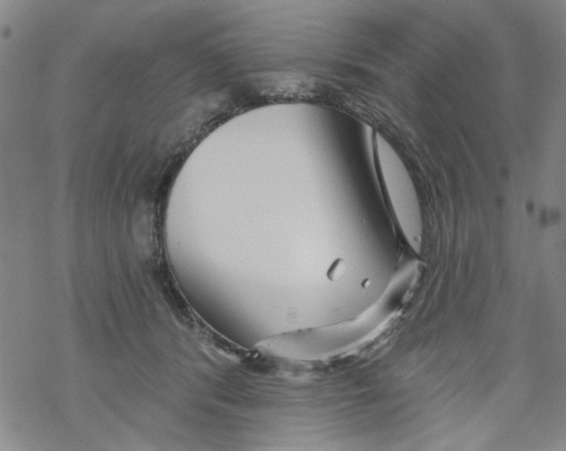 X0000067920416200605112013