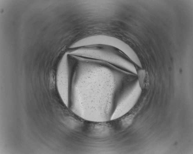 X0000067920420200605112013