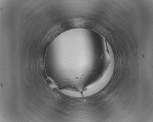 X0000067920421200605112013