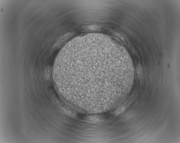 X0000067920423200605112013