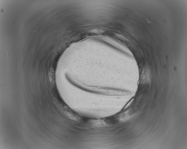 X0000067920424200605112013