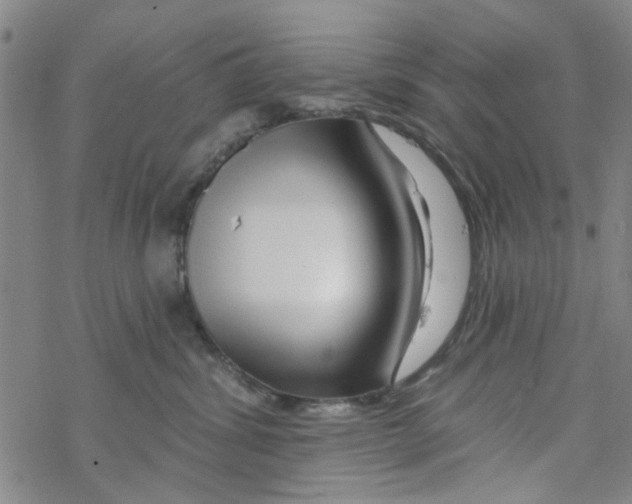 X0000067920428200605112013