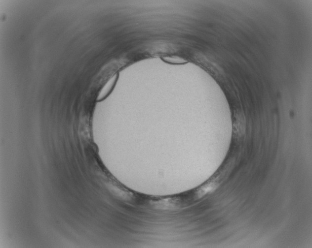 X0000067920430200605112013