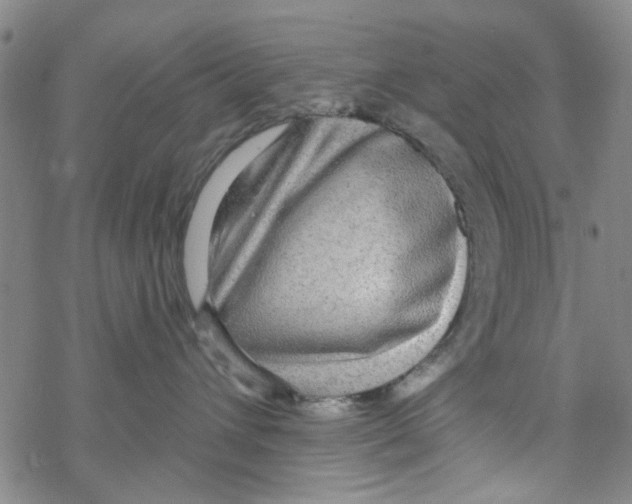 X0000067920432200605112013