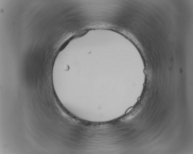 X0000067920433200605112012