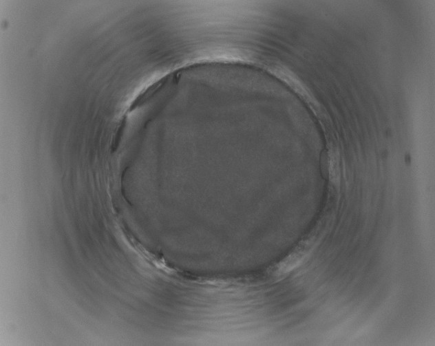 X0000067920434200605112012