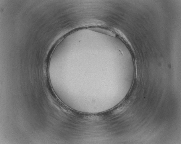 X0000067920435200605112012