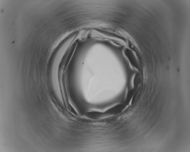 X0000067920436200605112012