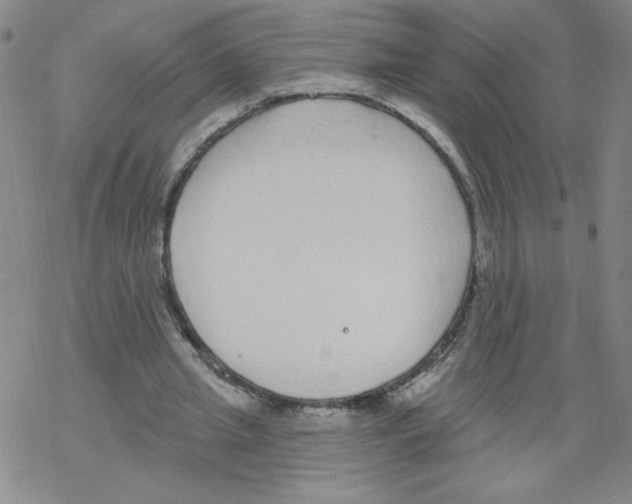 X0000067920437200605112012