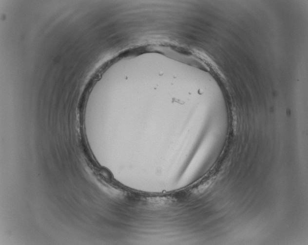 X0000067920439200605112012