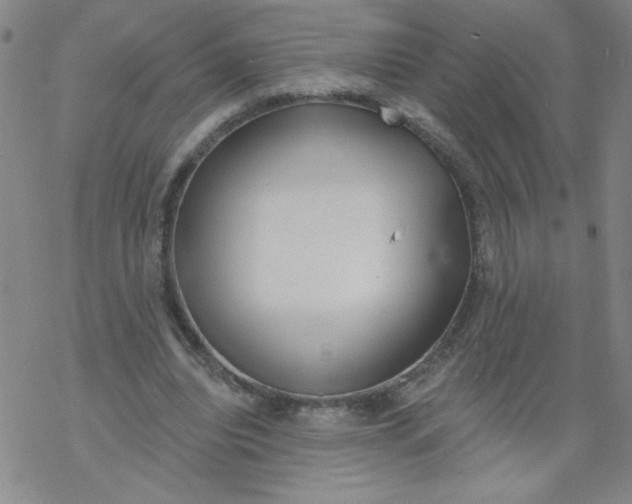 X0000067920440200605112012