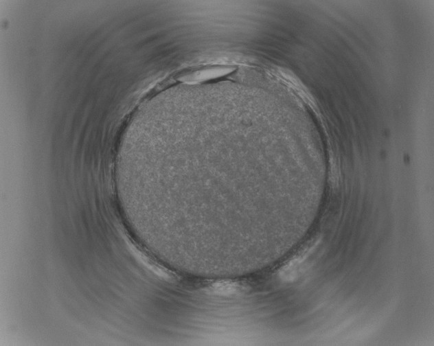 X0000067920441200605112012