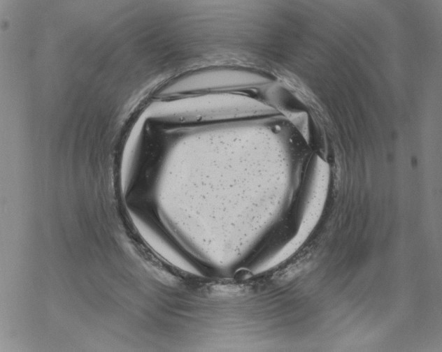 X0000067920442200605112012