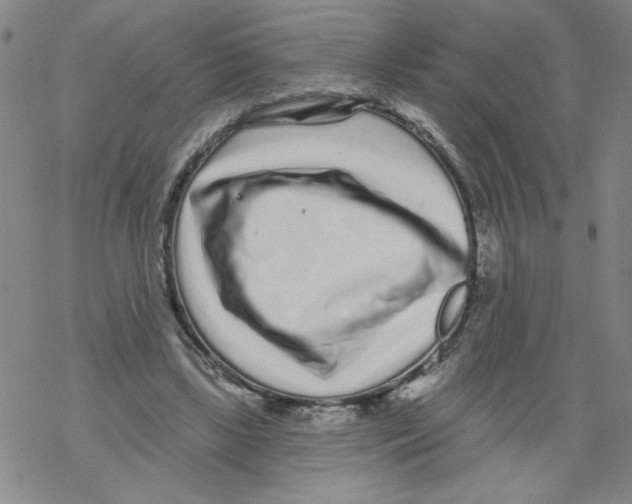 X0000067920443200605112012