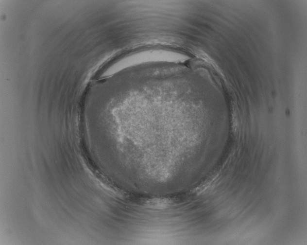 X0000067920444200605112012