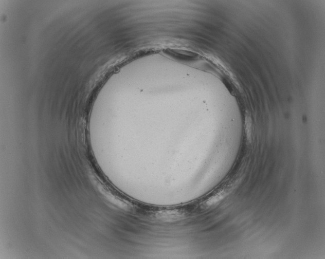 X0000067920445200605112012