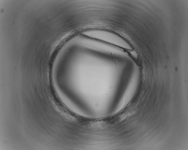 X0000067920446200605112012