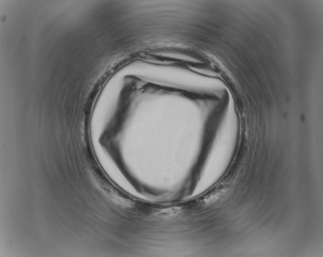 X0000067920447200605112012