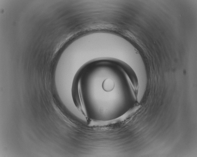 X0000067920448200605112012