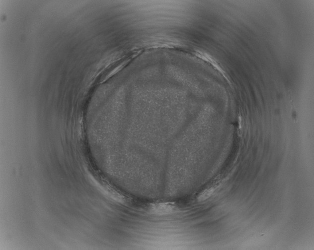 X0000067920451200605112012