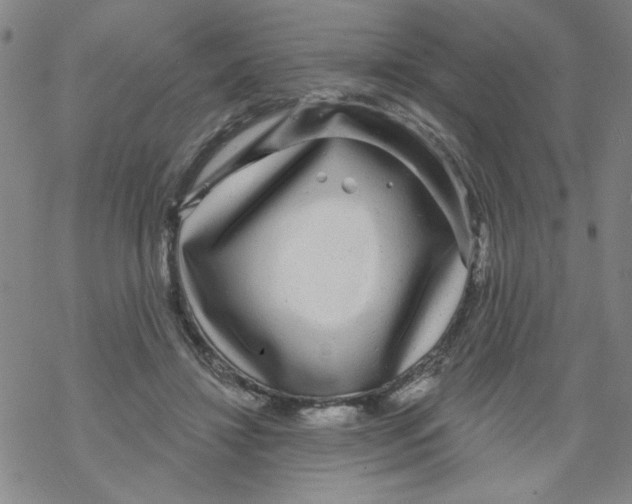 X0000067920452200605112012