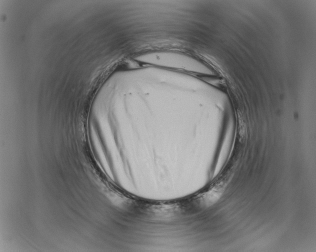 X0000067920453200605112012