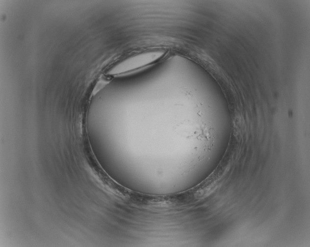 X0000067920454200605112012