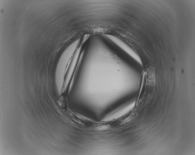 X0000067920456200605112013