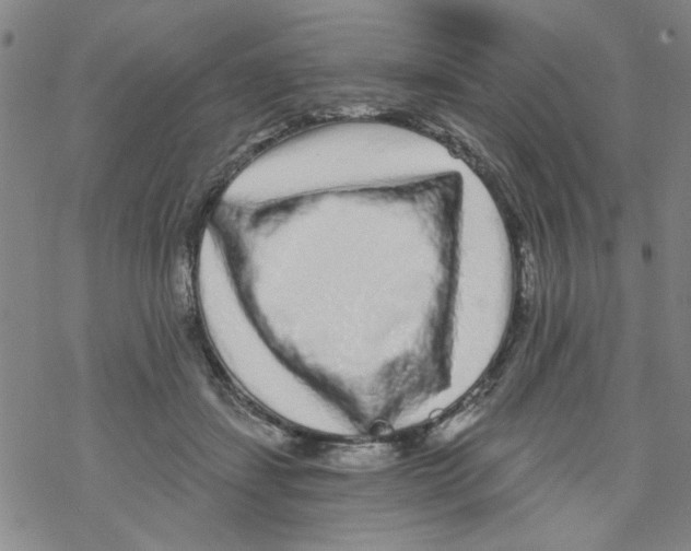 X0000067920459200605112013