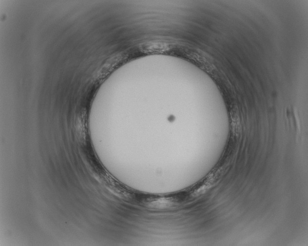 X0000067920460200605112013