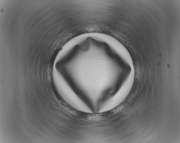 X0000067920470200605112013