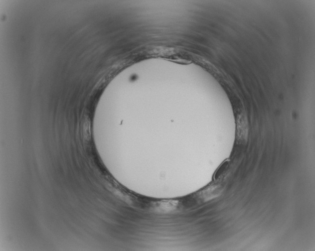 X0000067920474200605112013