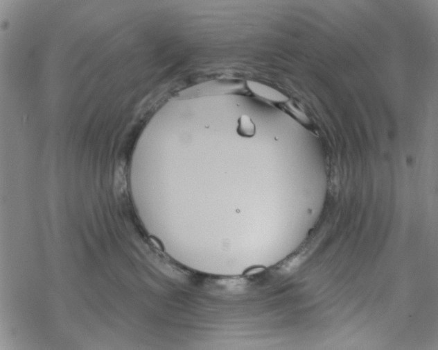 X0000067920478200605112013