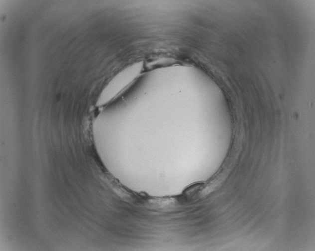 X0000067920480200605112013