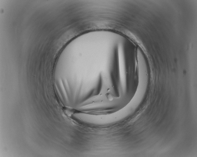 X0000067920481200605112012