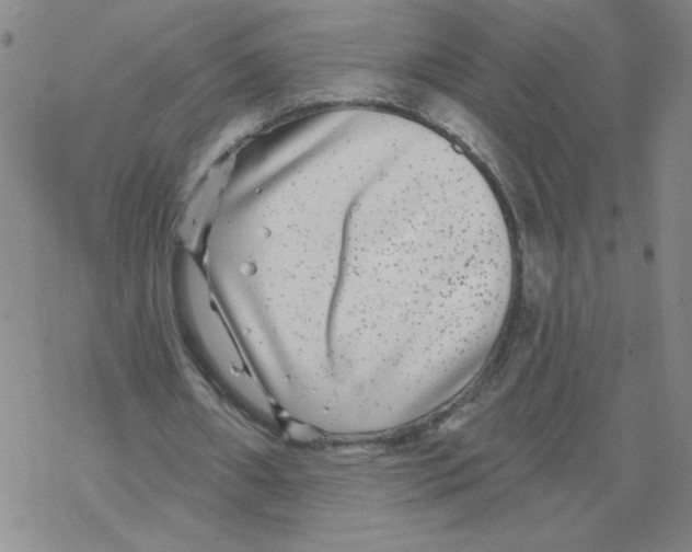 X0000067920482200605112012