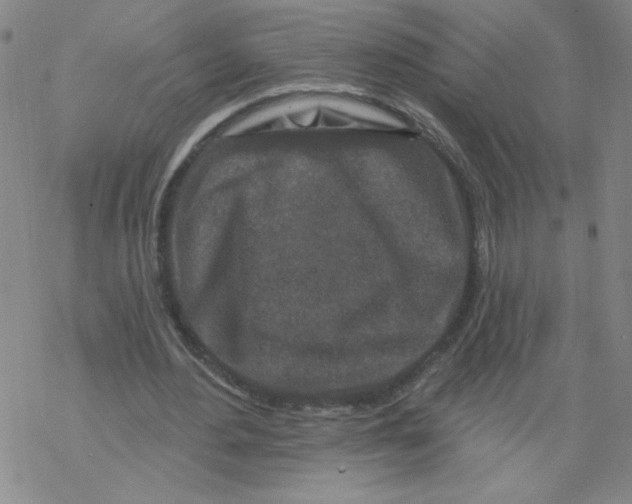 X0000067920484200605112012