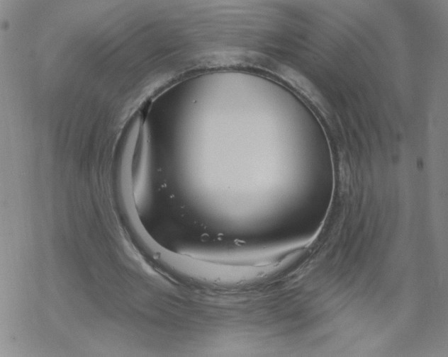 X0000067920485200605112012