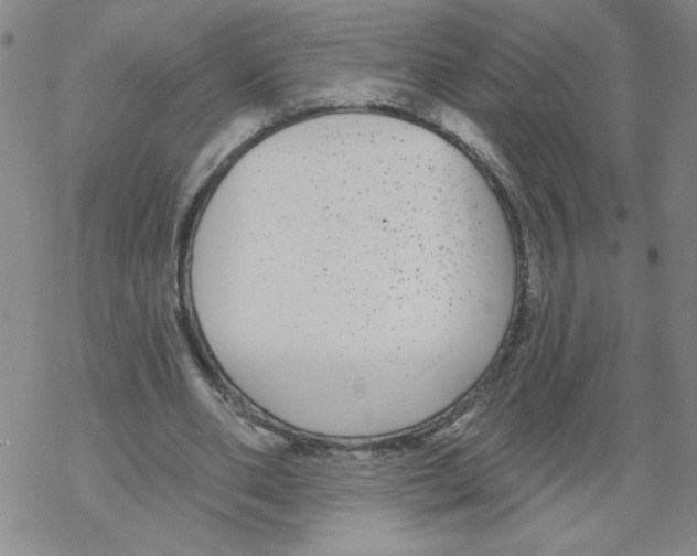 X0000067920486200605112012