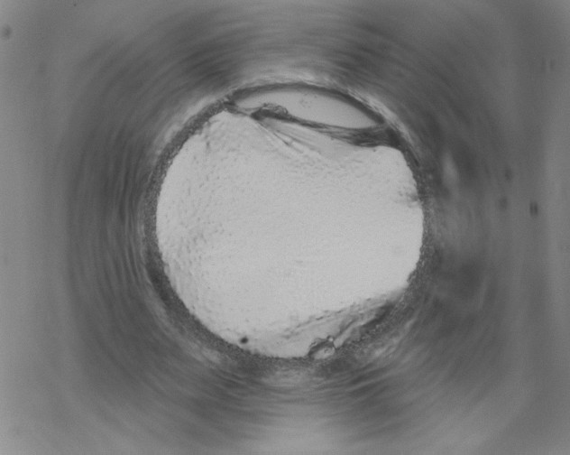 X0000067920487200605112012