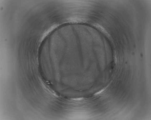 X0000067920488200605112012