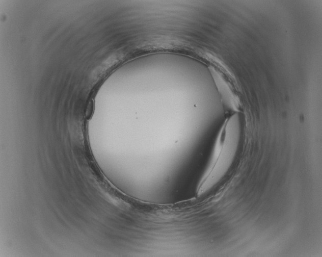 X0000067920489200605112012