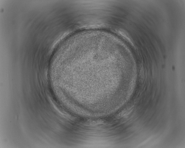 X0000067920491200605112012