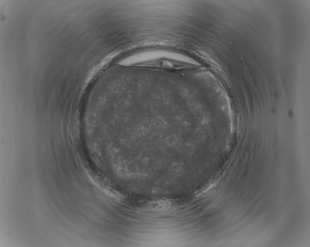 X0000067920492200605112012