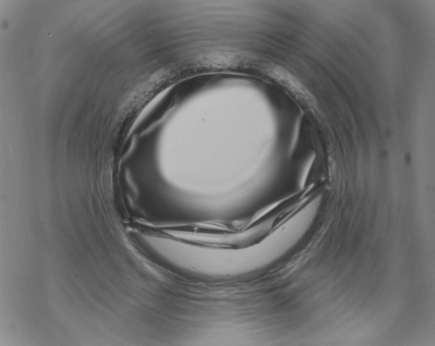 X0000067920493200605112012