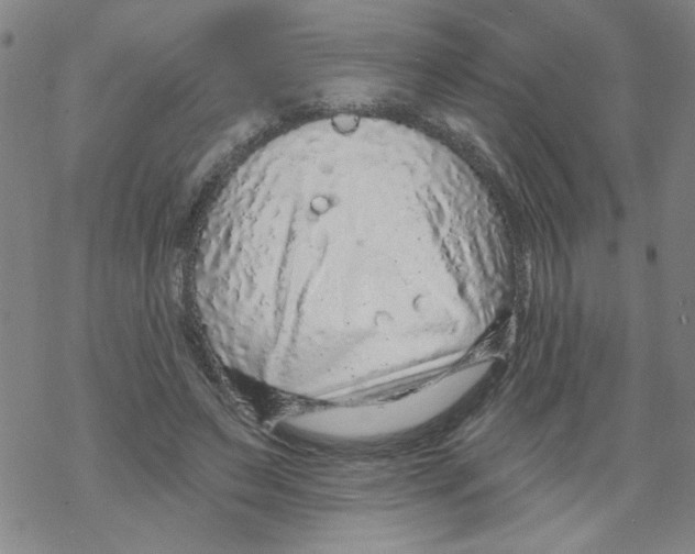 X0000067920495200605112012